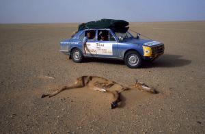 Alfa Romeo Alfetta Raid Capo Nord Capo Sud 1973 года 